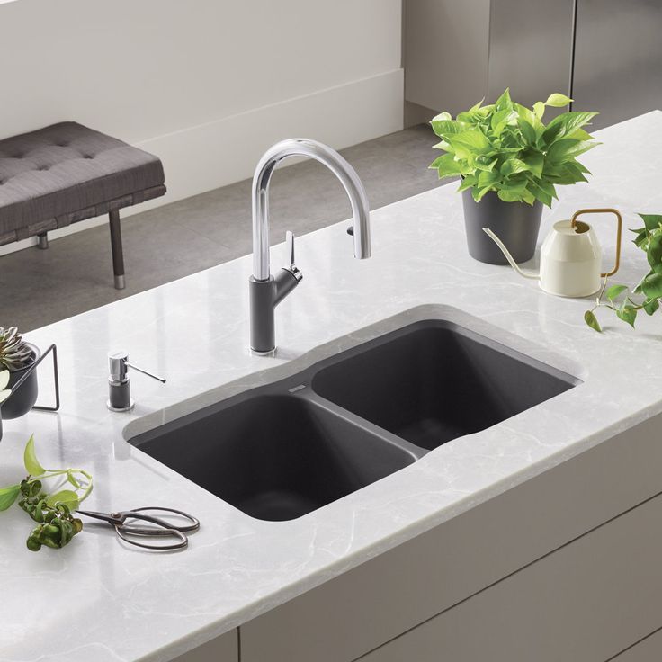 Kitchen Double sink from Blanco